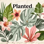Planted a card drafting game
