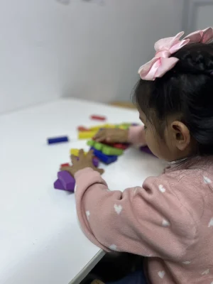 Fine Motor Activites